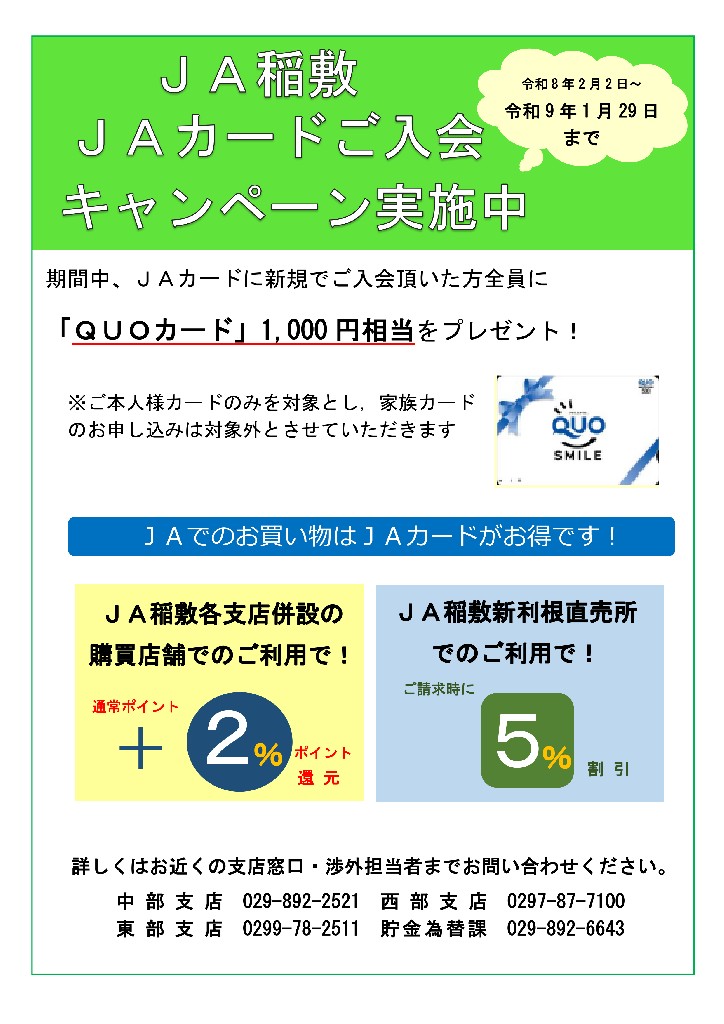 �i�`��~�i�`�J�[�h������L�����y�[��